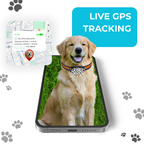 Carepetly™ 4G GPS Smart Tracker - Real-Time Safety Collar
