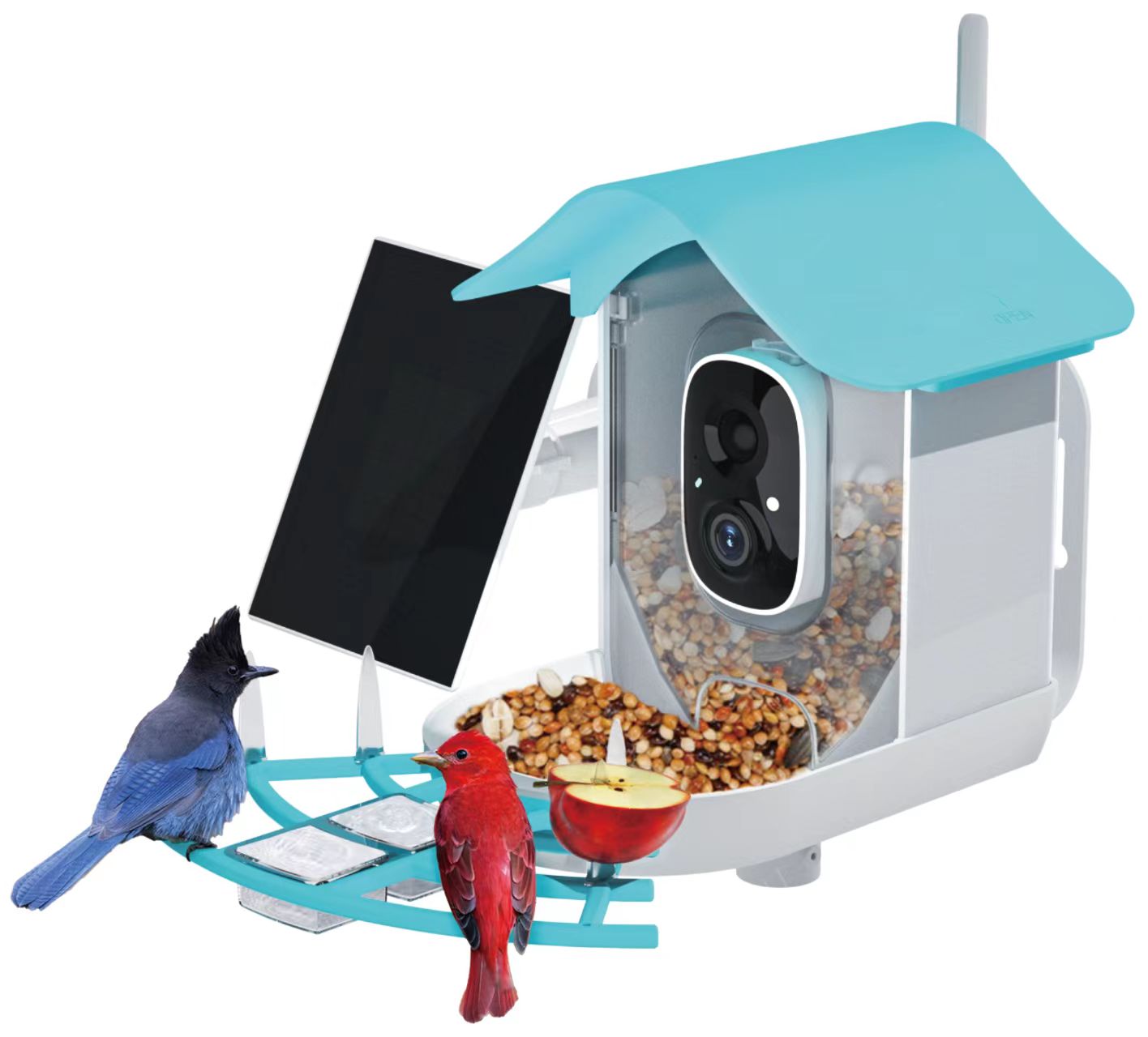 Carepetly™ Smart AI Bird Feeder with 1080P Camera - Bird Species ID