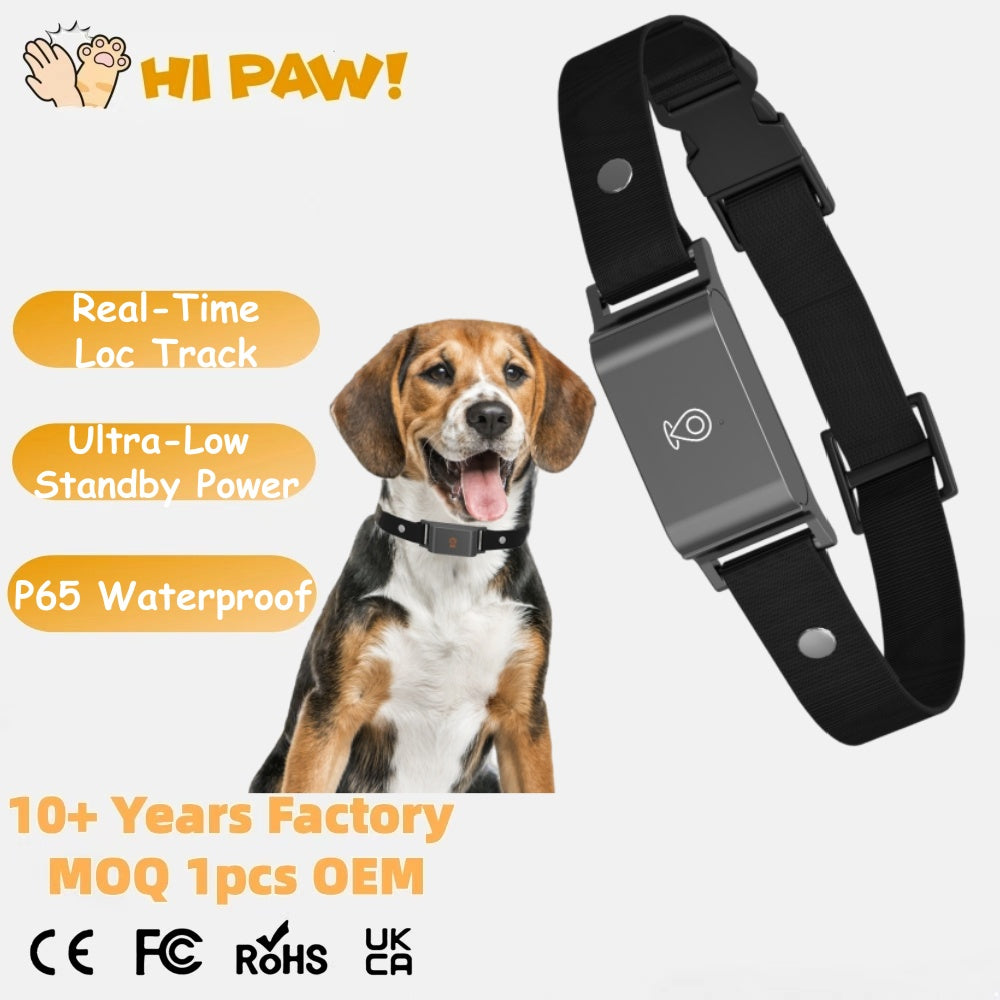 Carepetly™ Smart Health & Activity Tracker for Dogs & Cats