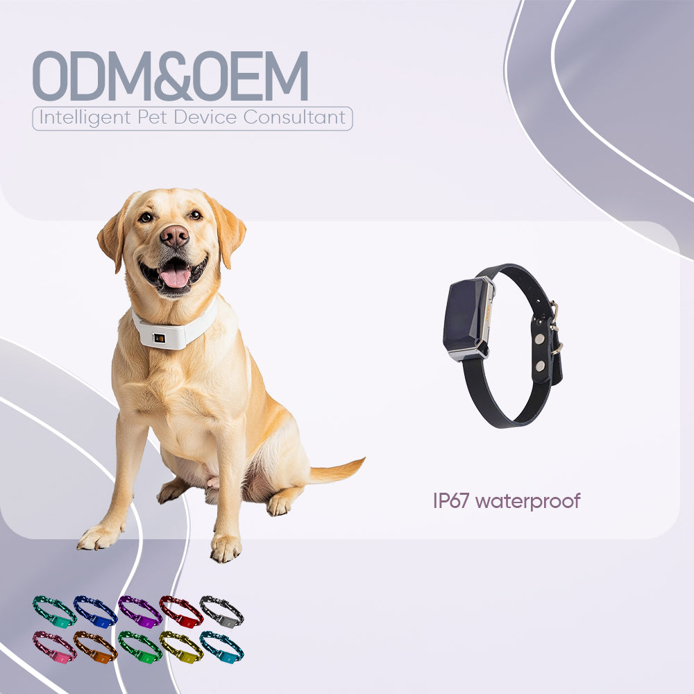 Carepetly™ Rugged GPS Adventure Tracker - 4G & Shockproof