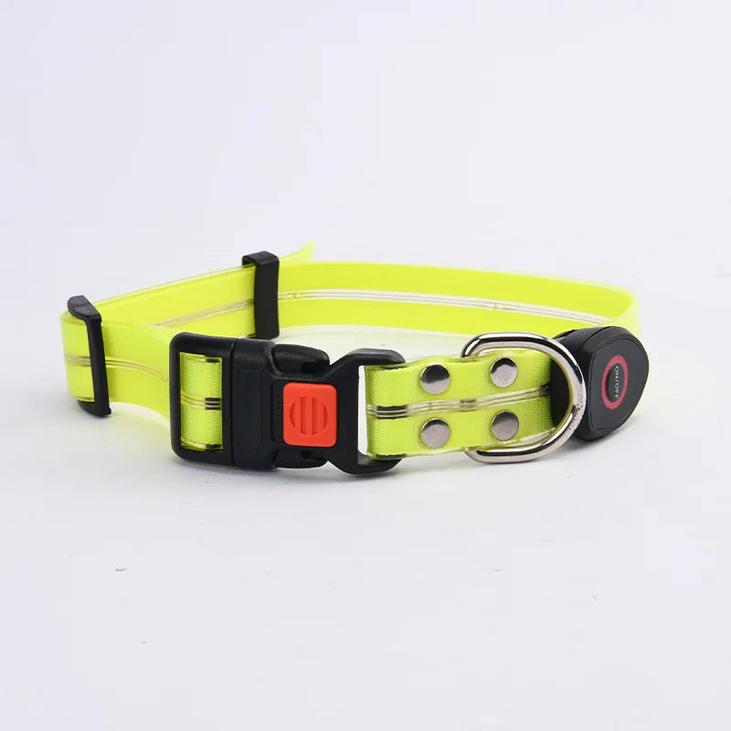 Carepetly™ Night-Safe LED Glowing Collar - USB Rechargeable