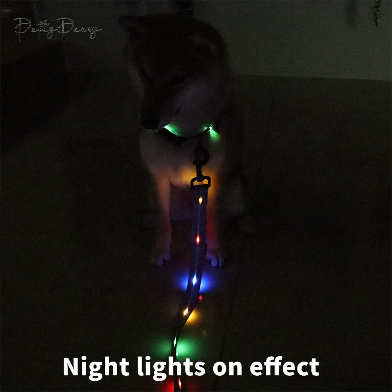 Carepetly™ Glow-Safe Smart LED Leash - RGB Lighting & USB-C