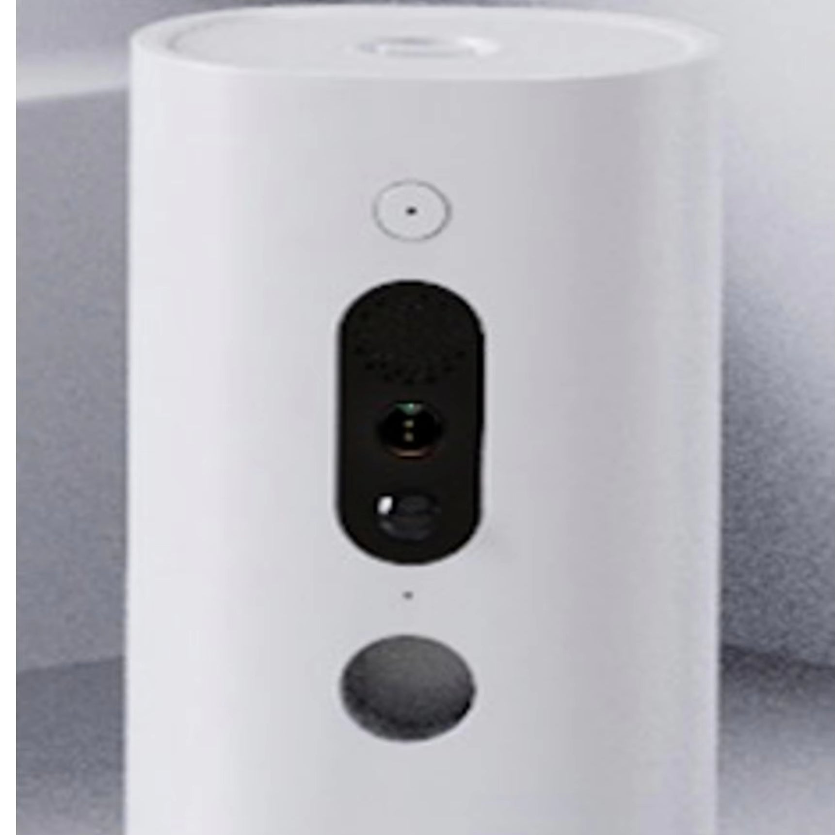Carepetly™ Movable Companion Robot - The #1 EBO Max Alternative (No Monthly Fees)