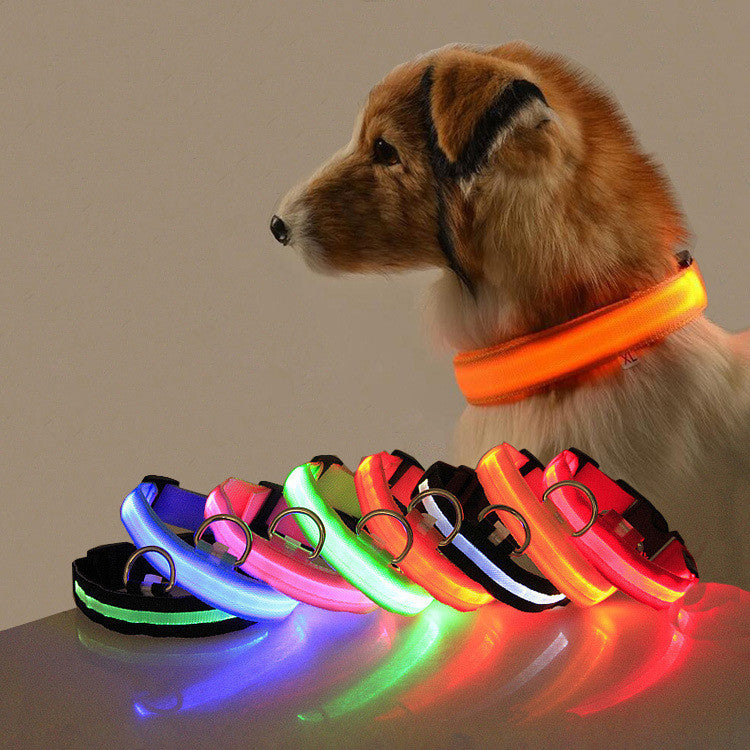 Carepetly™ Night-Safe LED Glowing Collar - USB Rechargeable