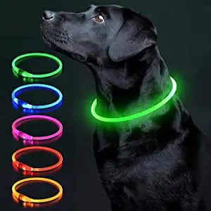 Carepetly™ Night-Safe LED Glowing Collar - USB Rechargeable