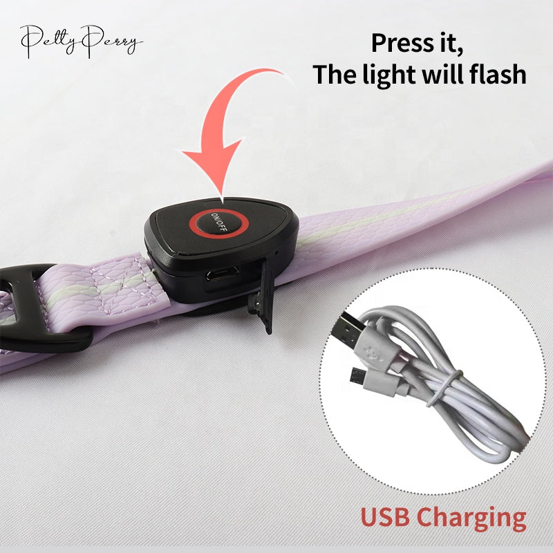 Carepetly™ Glow-Safe Smart LED Leash - RGB Lighting & USB-C
