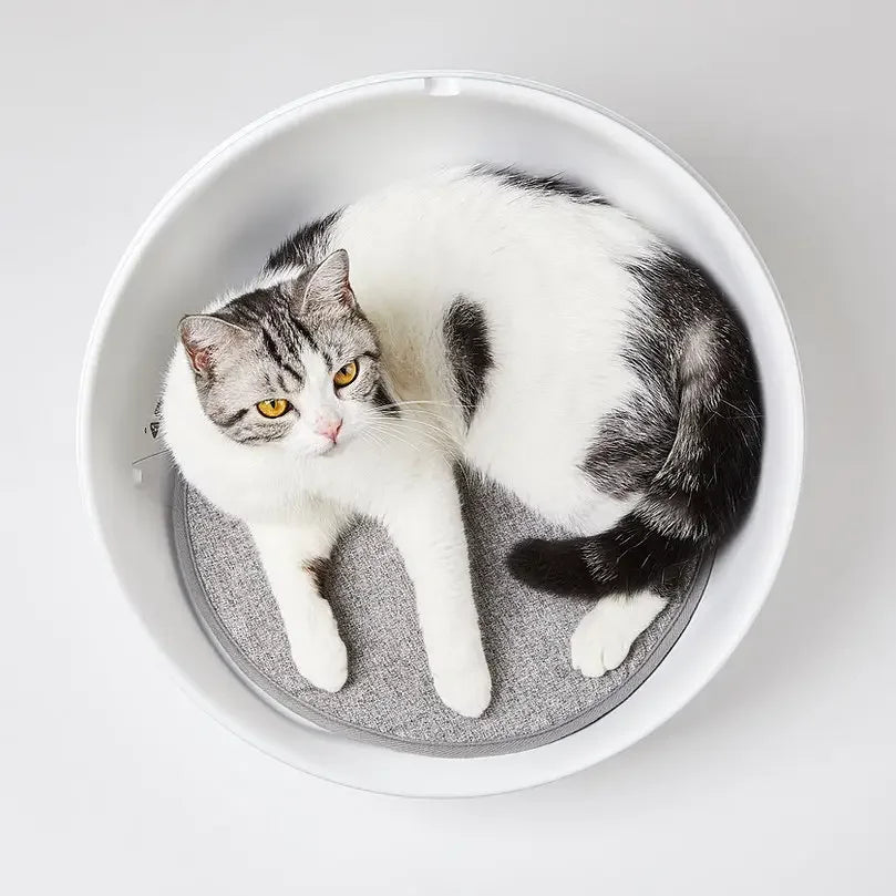 Carepetly™ Smart Climate-Controlled Pet Bed (Heating & Cooling)