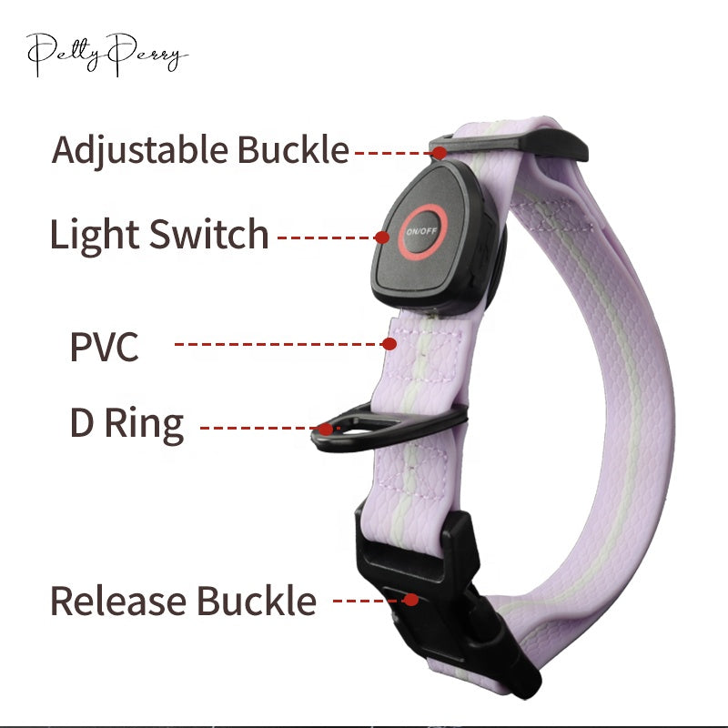 Carepetly™ Glow-Safe Smart LED Leash - RGB Lighting & USB-C