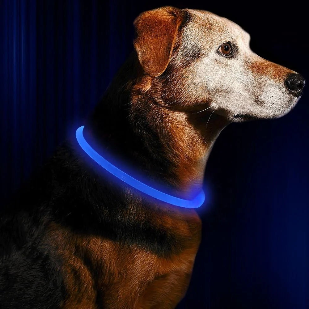Carepetly™ Night-Safe LED Glowing Collar - USB Rechargeable