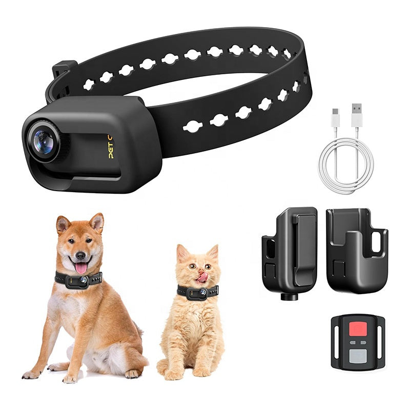 Smart WiFi Pet Camera Collar with Live Streaming & App Control | Carepetly