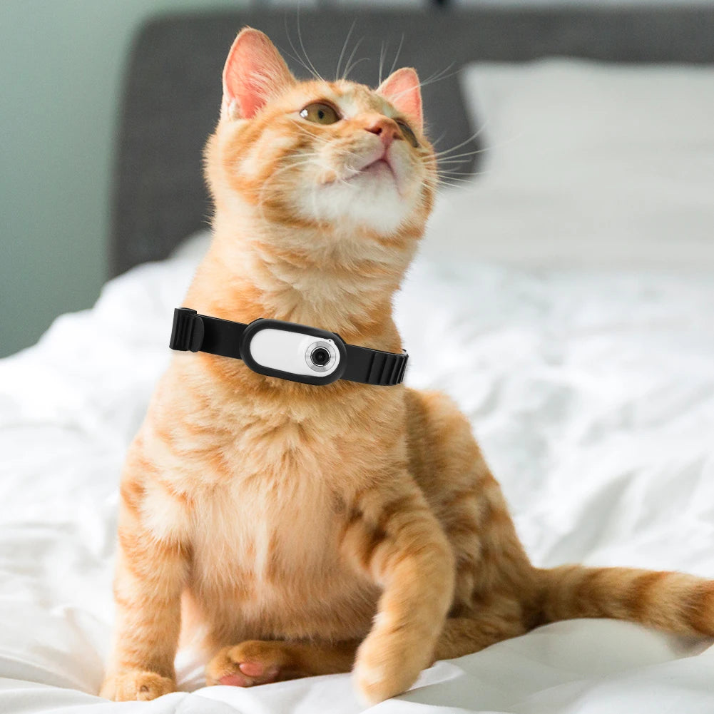 Carepetly™ 1080P HD POV Cat Collar Camera | No Subscription Pet Spy Cam