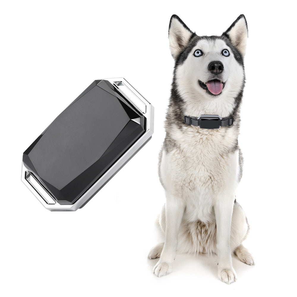 Carepetly™ Smart Health & Activity Tracker for Dogs & Cats